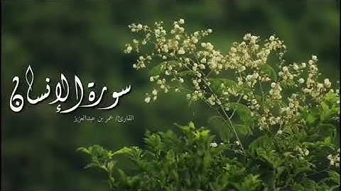 سورة الإنسان | تلاوة رهيييبة - القارئ عمر بن عبد العزيز ❤