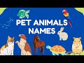Pet Animals Names with Pictures | Pet Animals with Pictures
