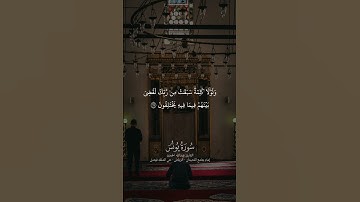 ما تيسر من سورة يونس | القارئ عبد الله الحميّد #اكسبلور #المصحف #القرآن_الكريم