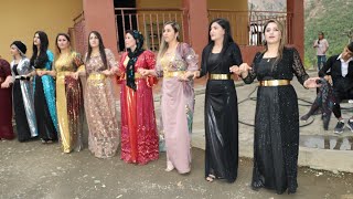 kurdish wedding govenda segavi hakkari düğünleri