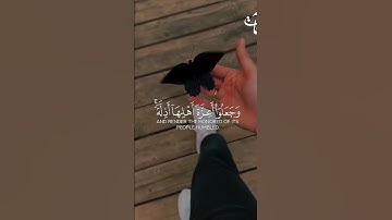 قالوا نحن أولو قوة وأولو بأس شديد /سورة النمل |القارئ اسلام صبحي