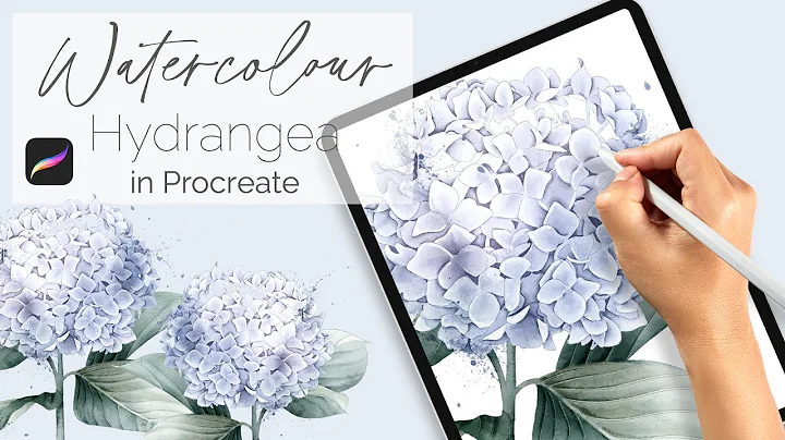 Paint This! Watercolour Hydrangea Flower in Procreate - Easy, Beginners Level IPad Illustration