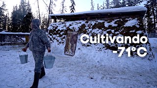 Cultivando a -71°C | Yakutia