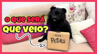 VLOG | Descobrindo o que veio na box Petiko   Amorinha ChowChow