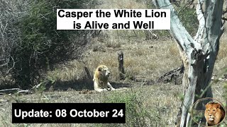 UPDATE 08 Oct 24 - Casper The White Lion Is ALIVE AND Well