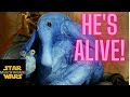 How Max Rebo Survived and Why the Music He's Playing is Familiar