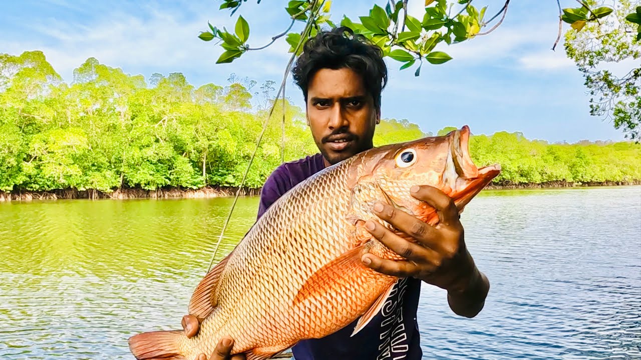 Disco জালে সেরা চিংড়ি মাছ সাথে বিশাল লাল ভেটকি ধরলাম @ANDAMAN_HUNTERS