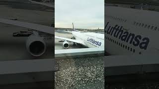 Lufthansa plain & airport #airplane #frankfurt #sky
