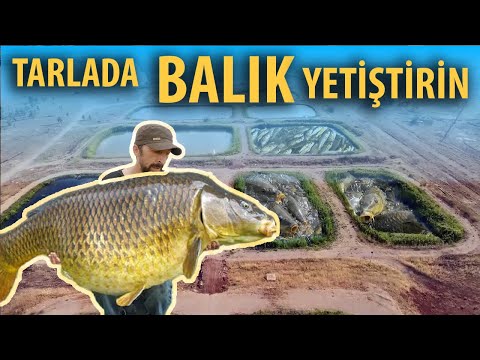 Video: Kaynaklı alın bağlantıları: özellikleri, türleri ve teknolojisi