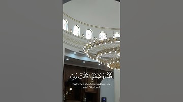 فلما وضعتها قالت رب إني وضعتها أنثى ||#محمد_آل_عسكر سورة آل عمران