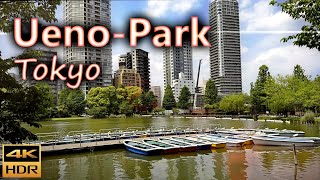 Ueno Park 上野公園 an extensive public park in Tokyo's Taitō district / Tokyo, Japan / 4K HDR
