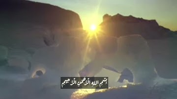 الشيخ نورين محمد صديق سورة البلد Sheikh | Nourin Mohamed Siddig |Surah Al-bld