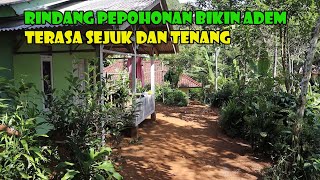 Nyaris Seperti Kampung Mati. Nuansa Kampung Ini Sangat Menenangkan Jiwa.