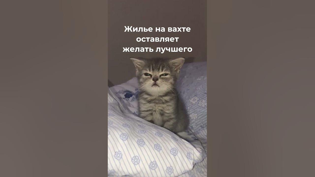 Работа вахтой в Польше с проживанием для мужчин, женщин. ЗП 2000-4500 ...