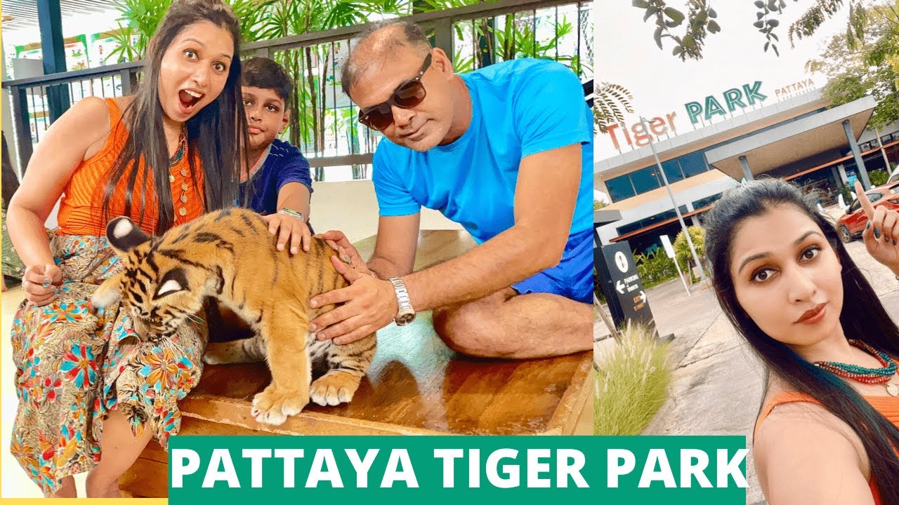 PLAYED WITH ADDORABLE LITTLE CUB  || PATTAYA TIGER PARK  2022 || #banglavlog