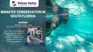 Manatee Conservation in South Florida Webinar 08.10.22