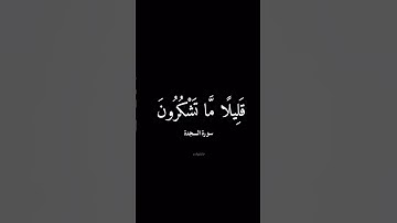 #سورة_السجدة #عبدالرحمن_مسعد #وحيد #قران_كريم #xeplore