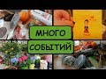 ДР МУЖА и ЕГО ПОСЛЕДСТВИЯ//ИЩУ ЦВЕТЫ//ЗАКУПКА//ЧТО НА УЖИН//РАСХЛАМЛЕНИЕ//УБОРКА НА ОКНЕ и МОИ ЦВЕТЫ