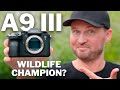 Sony A9 III: The GOOD, The BAD & The SURPRISING!