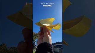 Awesome #paperplane #origami Stingray test swimming in the air - Manta Ray [Design by @TriKdanG]
