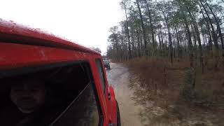 Citrus WMA with the Jeep