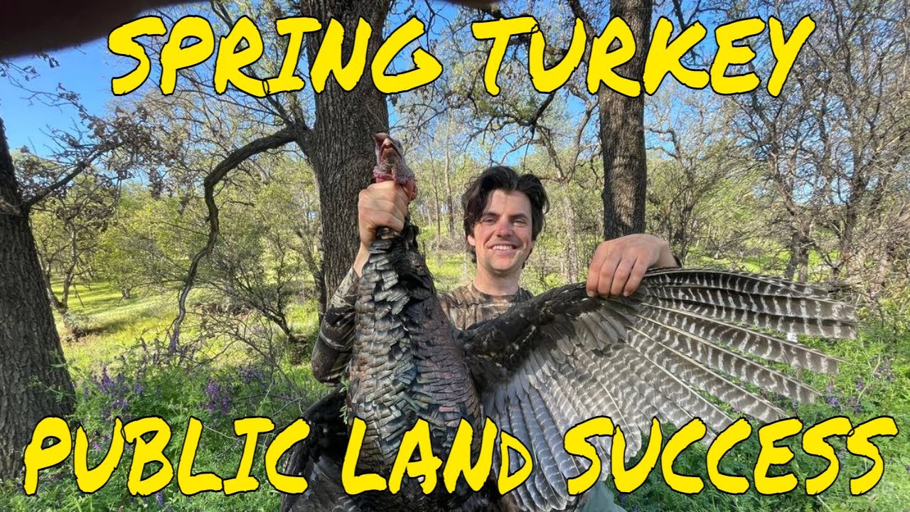 California Spring turkey hunting Public Land Success 