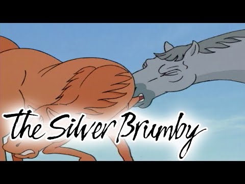 The Silver Brumby - Episode 1 | Arrow Is Cornered | HD | Full Episode | Videos For Kids