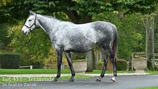 Lot 411 - Termonde, in foal to Zarak