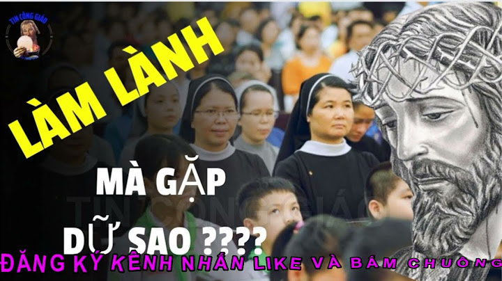 Bánh nhựa trong kỹ thuật nghĩa là gì năm 2024