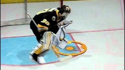 NHL 11 Goalie Glitch Goal