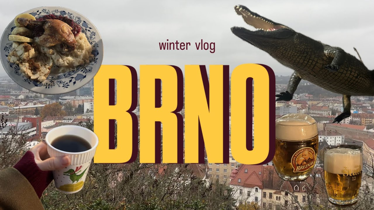 チェコの穴場観光地ブルノ🇨🇿今日からクリスマスが始まった