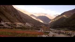 India, 2014 Ft Darkside - Paper Trails