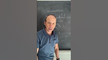 #physics of #polarized #light #physicsdemo #science #sciencedemo