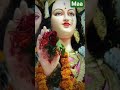 जय माता दी🙏🙏#viralvideo #hitsong #love #popularsong