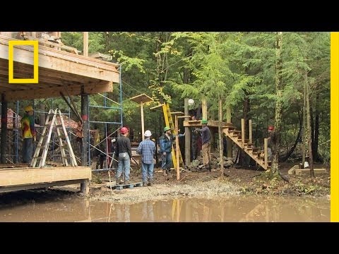 Rope Bridges and Lofts! | Building Wild