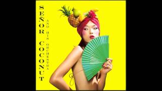Señor Coconut &amp; his orchestra -- Coco Agogo (interlude) feat. Akufen and jorge Gonzalez