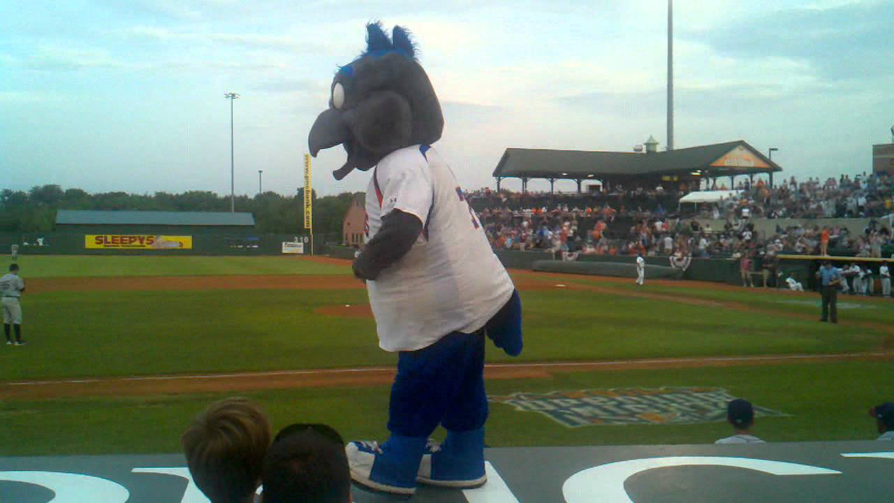 Dancing Ferrous, from the Ironbirds game! YouTube