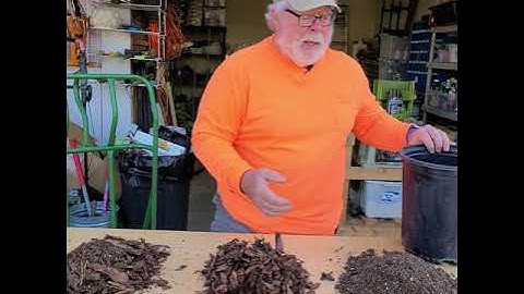 My Large Container Potting Mix