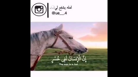 سورة العصر{ والعصر إن الإنسان لفي خسر إلا الذين امنوا وعملوا الصالحات وتواصوا بالحق وتواصوا بالصبر}