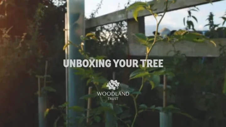 Unboxing – Fruit & Nut tree pack