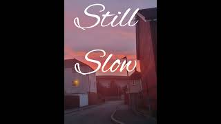 Still Slow- Palinator