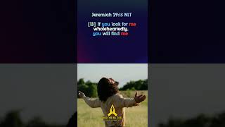 SEARCH ME WITH WHOLEHEARTEDLY❤️#praise #jesuslovers #jesus #bibleverse #holybible66#love#faithingod