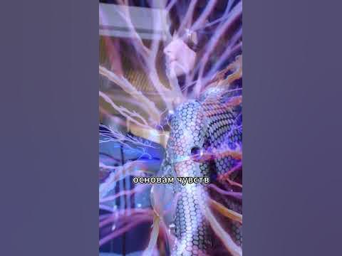 Нейро Чудо - Олевия Кибер Эпизод 2 - YouTube