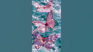 #تلاوة_خاشعة #راحة_نفسية #اكسبلور #سبحان_الله #قران_كريم #لايك #flowers #قران