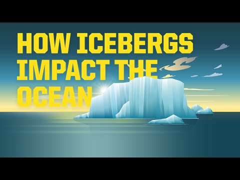 Icebergs and Climate