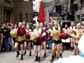 Pink poms in cologne