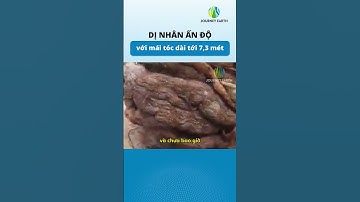 Dị Nhân Ấn độ có mái tóc dài gần 8 mét #khampha #xuhuong #discovery #learning #khamphabian