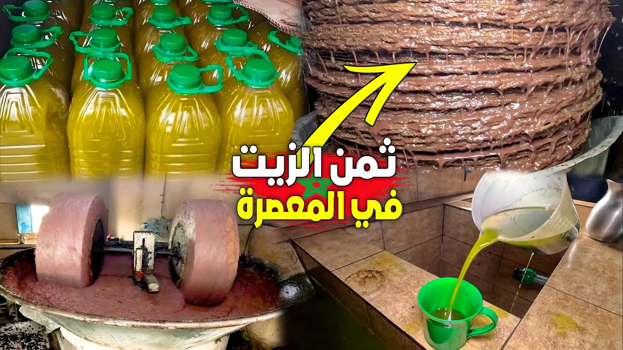 ثمن زيت الزيتون البلدي في المعصرة بإقليم بركان مع تصوير العملية كاملة من طحن الزيتون حتى خروج الزيت