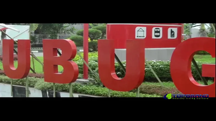 Topbrand Indonesia - 天天要闻