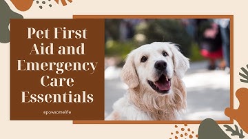 Paws for Safety: Pet First Aid and Emergency Care Essentials! 🚑🐾 |  Protect Your Furry Friends